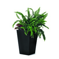 Ketter Nosilec lončka Rattan Planter antracit ,23,6 l, 29 x 44 x 29 cm