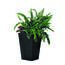 Ketter Nosilec lončka Rattan Planter antracit ,23,6 l, 29 x 44 x 29 cm