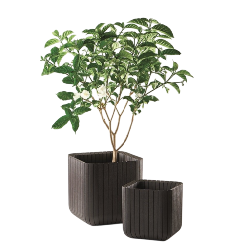 Keter donica Cube M 50,5 l, brązowy