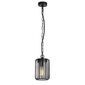 Rabalux 77107 wisząca lampa zewnętrzna Tarpa, E27,1x max. 40W, IP44