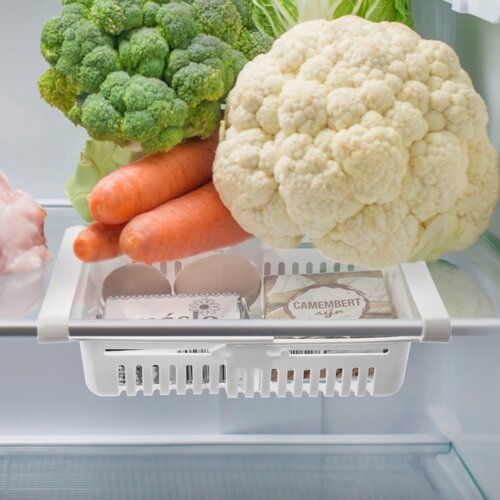 Orion Plastični koš za hladilnik, 28,5 x 16,5 x 8cm