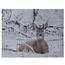 Deer in winter LED vászonkép, 40 x 30 cm