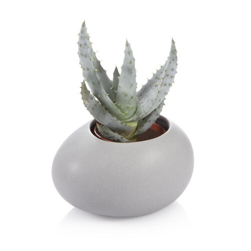 Tescoma Übertopf für kleinen Blumentopf FANCY HOME Stones grau