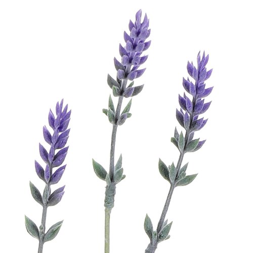 Umetna cvetica Lavanda vijolična, 17 x 17 x 62 cm