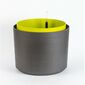 Plastia Selbstbewässernder großvolumiger Blumentopf Berberis 55, anthrazit + grün