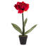 Umělá květina amarilis červená