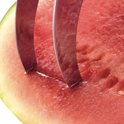 Westmark Krájač na melón HOOK, 23,5 x 3,8 x 6,8 cm