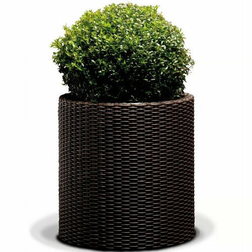 Keter donica Cylinder L 39 l, brązowy
