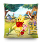 Polštářek Winnie The Pooh Disney, 40 x 40 cm