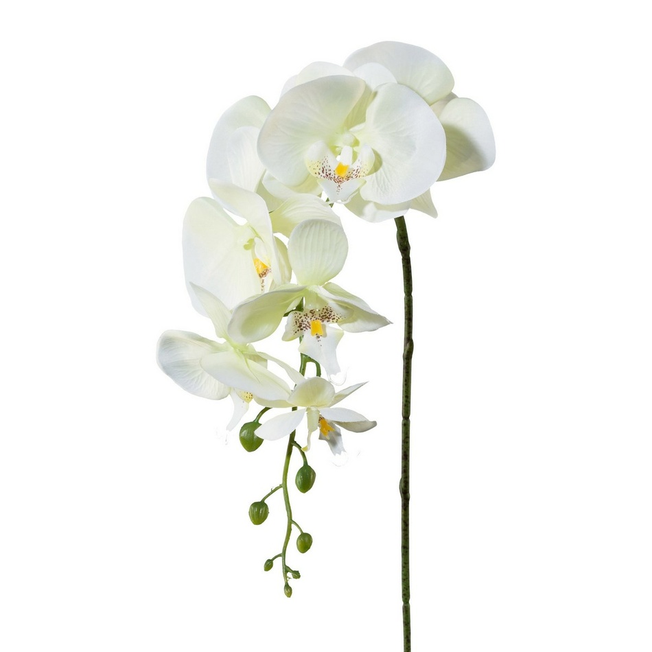 Fotografie Umělá Orchidej bílá, 86 cm 305303-50