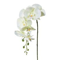 Штучна Орхідея білий, 86 см