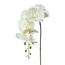Umělá Orchidej bílá, 86 cm