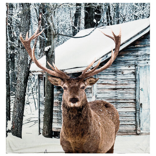 Deka Home & styling Deer, 140 x 160 cm