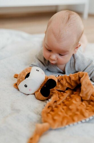 Usínačik babyted Srnček, hryzátko, hrkálka plyš 25 x 25 cm, hnedá