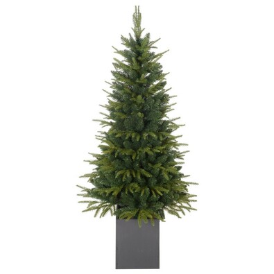 Vianočný stromček Smrek, 150 cm