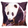 Obliečka na vankúšik Panda, 40 x 40 cm
