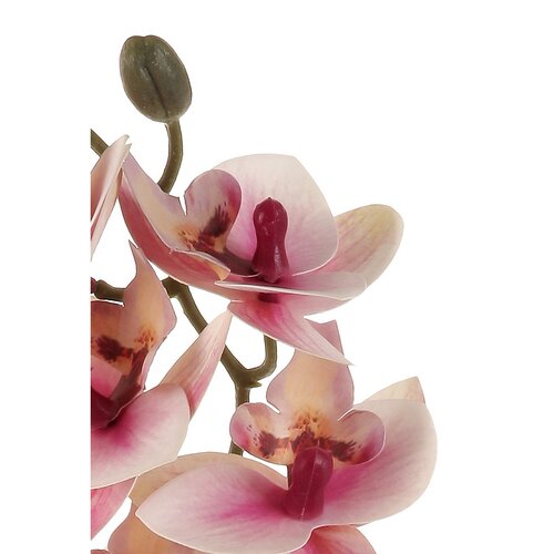 Orchidea művirág világos rózsaszín, 10 x 10 x 63 cm