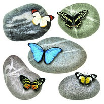 Самоклеюча прикраса Butterflies on Stones , 30 х 30 см