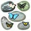 Decorațiune autocolantă Butterflies on Stones, 30 x 30 cm