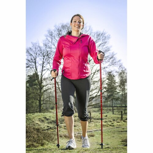 Treking palice ANTISHOCK