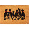 Wycieraczka kokosowa Dog Welcome, 40 x 60 cm