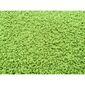 Kusový koberec Color shaggy zelená, 120 x 170 cm