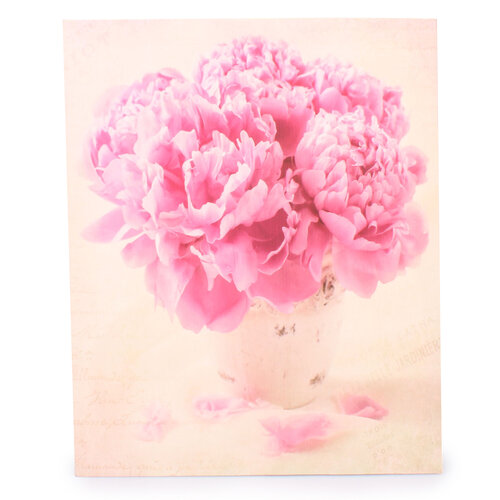 Obraz na plátne ružové pivonky