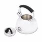 Ceainic Florina Asta, 2,3 l