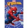 Koc Jerry Fabrics „Spiderman”, 100 x 150 cm