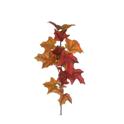 Zestaw gałęzi klonu 58 cm, 2 szt.