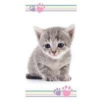 Банний рушник Kitten colour, 70 x 140  см