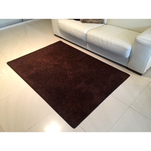 Kusový koberec Color shaggy hnědá, 80 x 150 cm