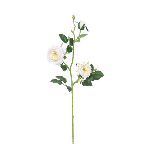 Umělá anglická růže bílá, 69 cm