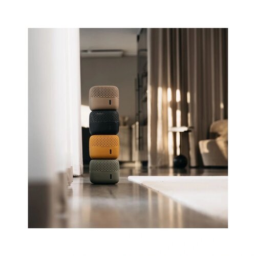 Everbrand vlažnostni absorber Absodry Duo FamilyBag 3-series, do 30 m3, temno siva