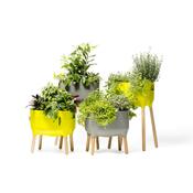 Recipient scund de cultivare Plastia Urbalive, gri