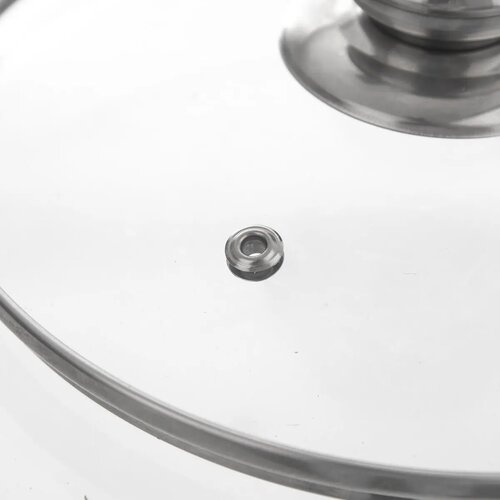 Orion Steklena pokrovka z ročajem, 20 cm