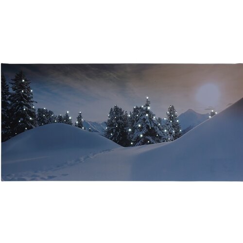 LED Leinwandbild Rello, 58 x 28 cm