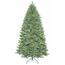 Vianočný stromček kanadský smrek, 240 cm, zelená