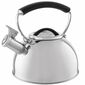 Ceainic Florina Asta, 2,3 l