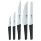 Amefa 5dílná sada kuchyňských nožů v bloku EDGE