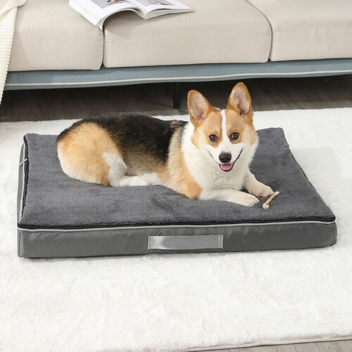 4Home Hundebett mit Memory-Schaum Comfy L, 90 x 70 x 10 cm