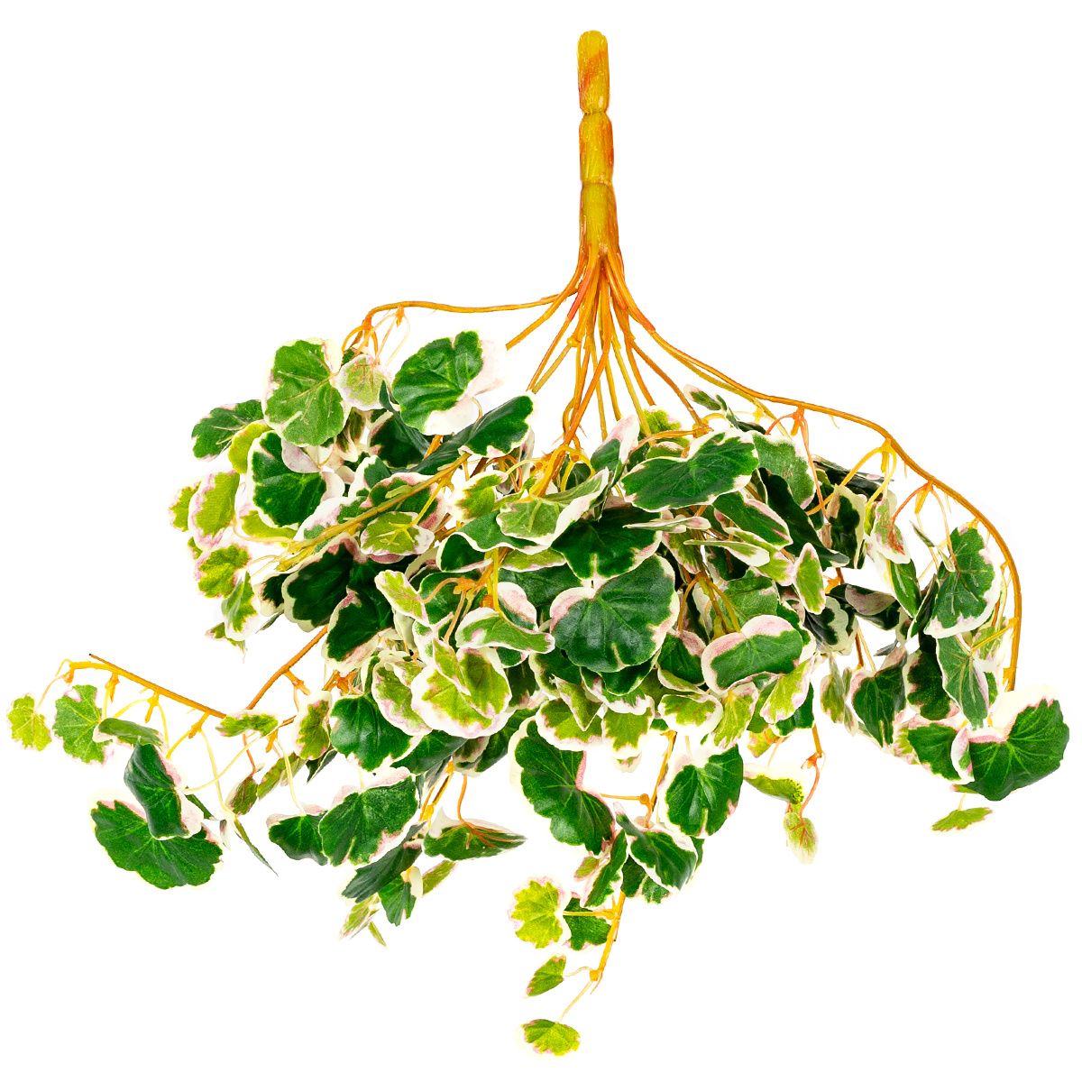 Fotografie Umělá Saxifraga závěsná dekorativní rostlina, v. 50 cm