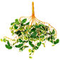 Umělá Saxifraga závěsná dekorativní rostlina, v. 50 cm