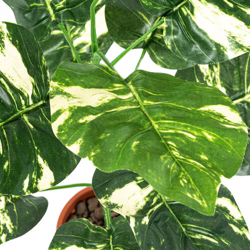 Umetna roža Pothos v lončku