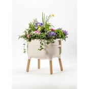 Recipient scund de cultivare Plastia Urbalive, crem