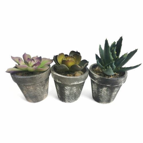 Plantă artificială în ghiveci Succulent, set de 3