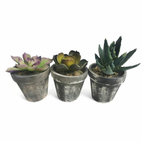 Planta artificială în ghiveci Suculentă, set de 3bucăți