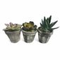 Plantă artificială în ghiveci Succulent, set de 3