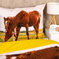 4Home Bavlnené obliečky Horses, 140 x 200 cm, 70 x 90 cm