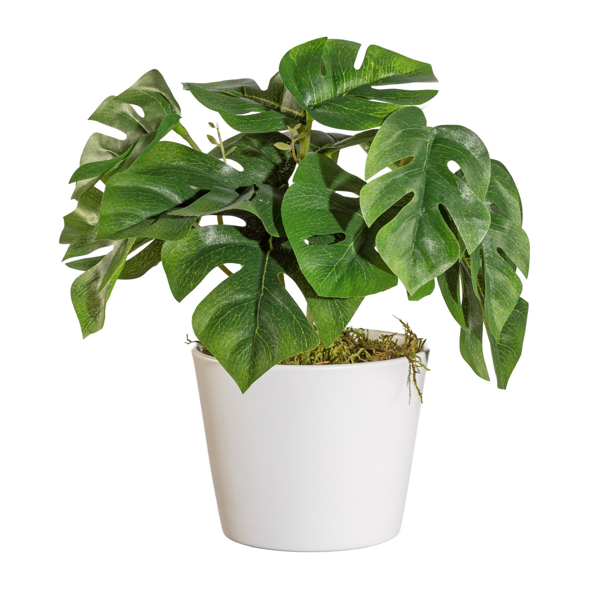 Split-Philodendron artificial în ghiveci, verde, 25 cm